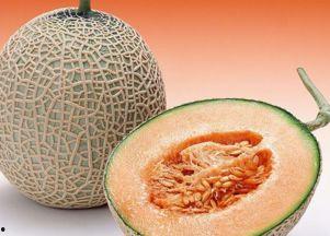 有多少人吃哈密瓜,揭秘全球瓜界盛况，有多少人共享甜蜜滋味？
