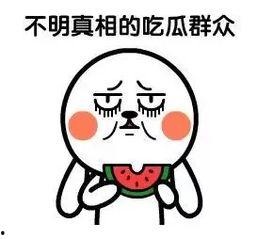 吃瓜都用什么网络用语,揭秘网络吃瓜用语背后的趣味与智慧