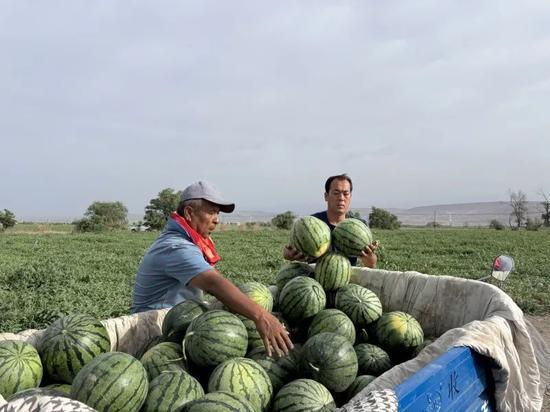 德国吃瓜现状,从传统美食到时尚潮流的演变