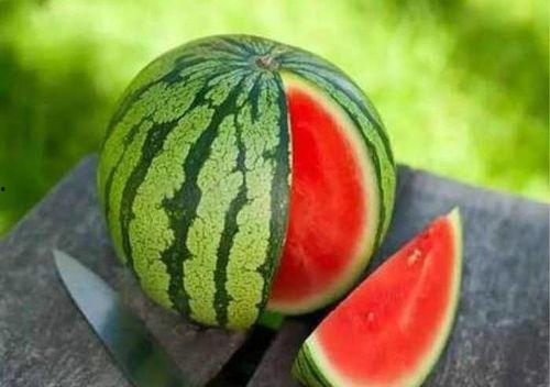 潍坊阳光一百吃瓜