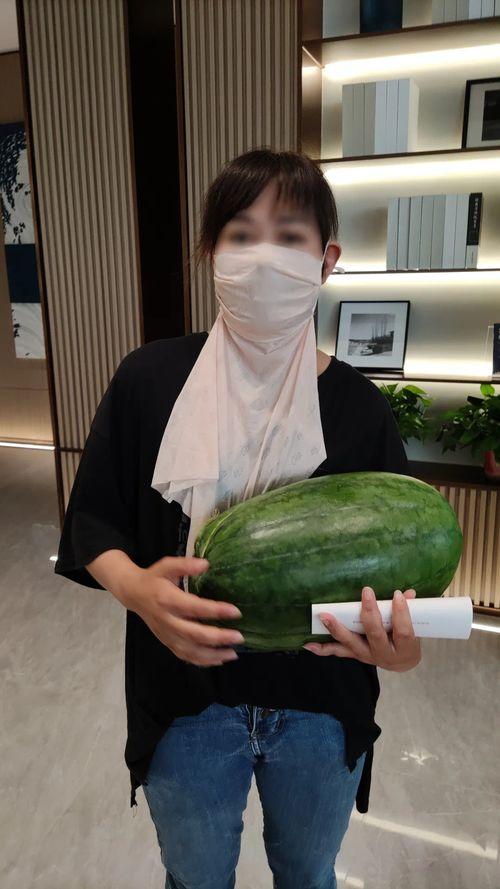 吃瓜大瓜黑料爆料图片,吃瓜大瓜黑料爆料图片背后的真相