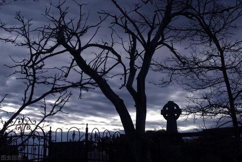 小说坟前吃瓜,揭秘尘封往事的惊悚悬疑之旅