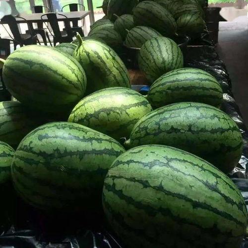 7直播吃瓜,揭秘娱乐圈吃瓜盛宴背后的真相