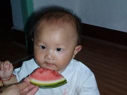 乐乐吃瓜了,揭秘娱乐圈最新热点事件