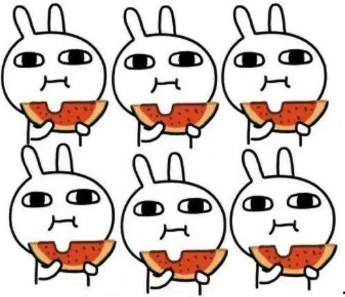 吃瓜萌图,萌图里的美食诱惑