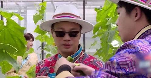 吃瓜吃到极限了,揭秘娱乐圈幕后真相