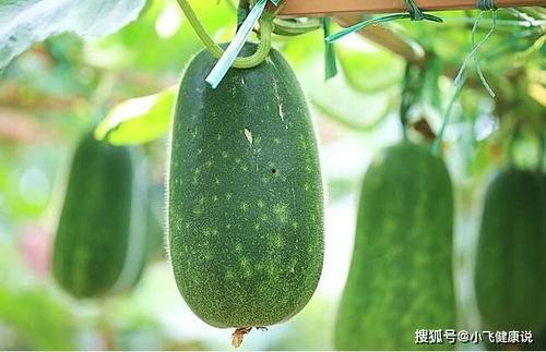 女人吃的瓜,揭秘女性瓜界秘闻