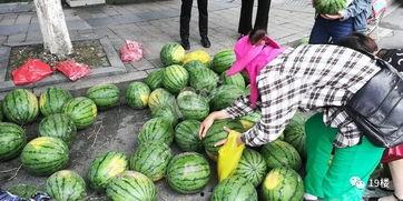 杭州皮球吃瓜版,揭秘网络热传的皮球事件背后的故事