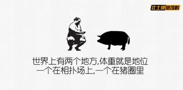 吃瓜吃吐了文案怎么写