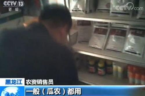 吃瓜群众快递,吃瓜群众揭秘快递业的幕后故事