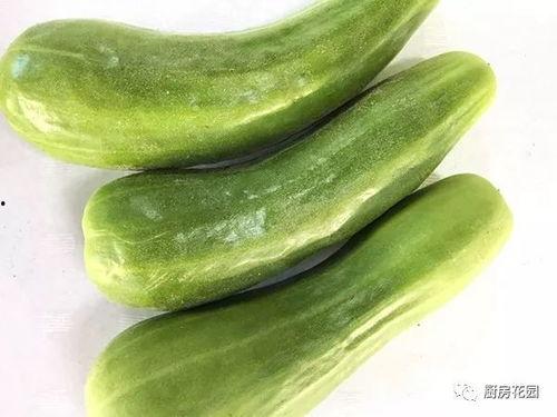 新疆带皮吃的瓜,新疆带皮瓜的独特风味之旅