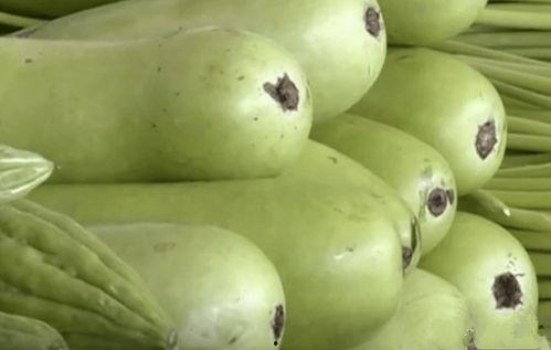 葫芦瓜可以吃不