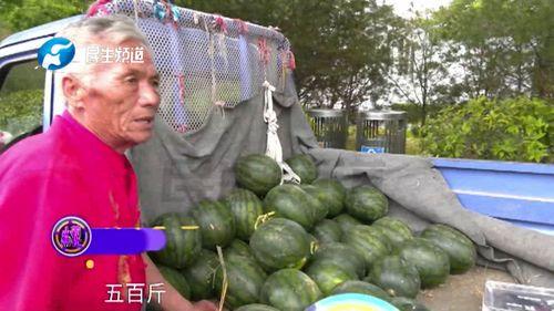 郑州市老年吃瓜,悠闲吃瓜，乐享夕阳