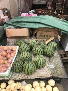 郑州市老年吃瓜,悠闲吃瓜，乐享夕阳