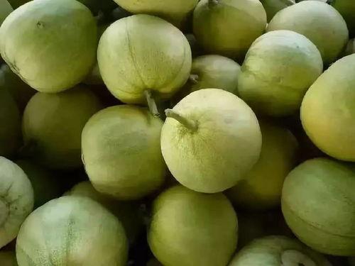 大头瓜怎么吃,解锁美味新体验