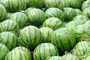 吃瓜多了上火吗,揭秘夏季饮食健康之道