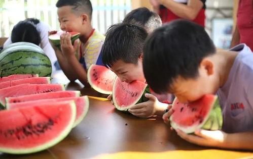 小朋友吃瓜大赛,小朋友吃瓜大赛欢乐上演
