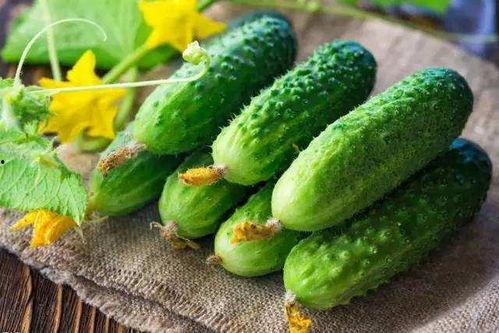 瓣花吃瓜,探索瓜果中的艺术与美味