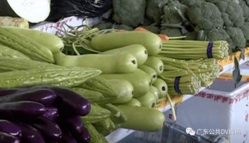 天津吃瓜中毒,意外中毒背后的食品安全警示