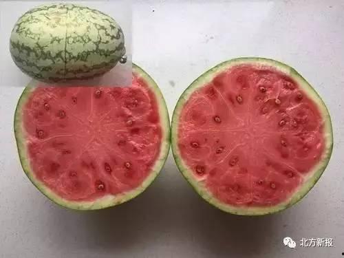 吃假瓜拉肚子,误食后果及防范指南