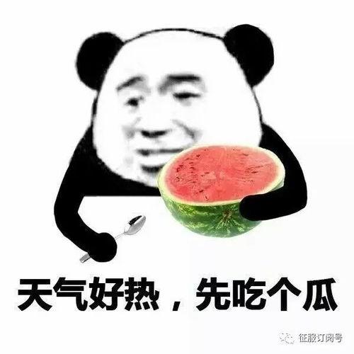 带你吃瓜厕纸,“带你吃瓜厕纸”背后的故事与潮流
