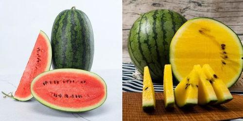 犇妈吃瓜,揭秘娱乐圈幕后故事