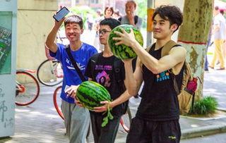 各校吃瓜,揭秘各校吃瓜盛况