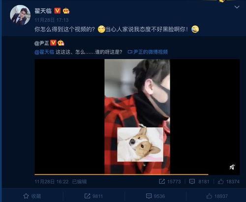 吃瓜炸裂评论区,揭秘网络热议背后的真相与笑料