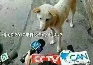 卧槽吃瓜视频完整