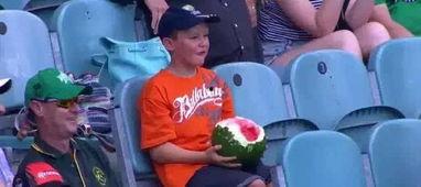 吃瓜群众男童,揭秘童言无忌中的趣味世界