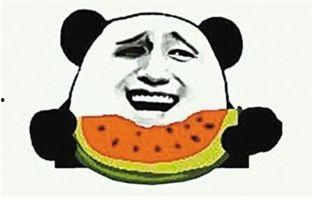 吃瓜喂牲口,传统农耕智慧在现代农业中的应用与传承