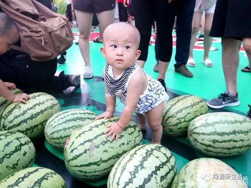 河北吃大瓜,大瓜的独特风味与地方特色