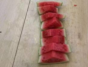 花式切瓜 吃瓜比赛,花式切瓜吃瓜比赛，技艺与速度的终极对决