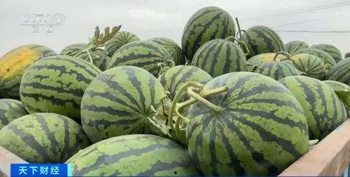 威海文登吃瓜,夏日吃瓜盛宴，尽享清凉滋味