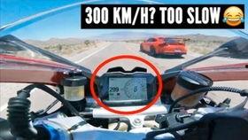 兰博吃瓜总结,揭秘娱乐圈幕后风云