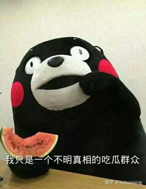 吃瓜思维问题,一场吃瓜群众的狂欢盛宴