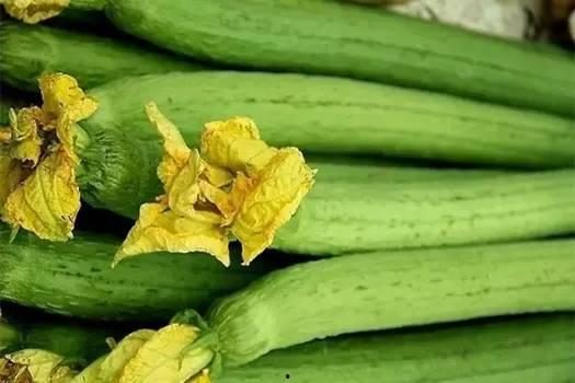 吃瓜养了陆迟,陆迟的成长日记