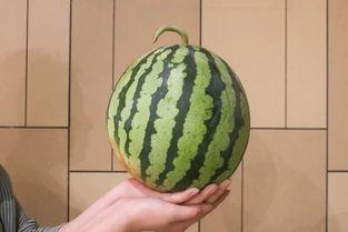 吃瓜全网,揭秘娱乐圈幕后真相，带你领略明星生活百态