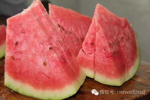 吃瓜石头,揭秘娱乐圈背后的那些事儿