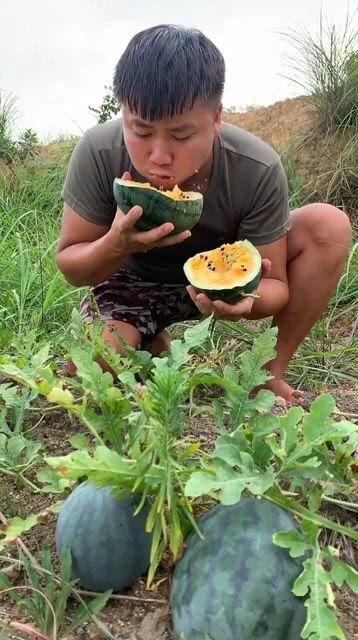 小西吃瓜,揭秘娱乐圈那些不为人知的幕后故事