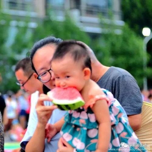 吃瓜现场在哪,探寻事件背后的真相与细节