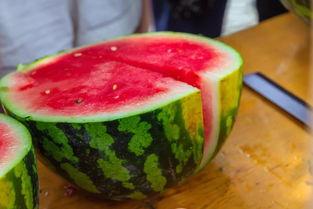 信阳学院今天吃瓜,吃瓜群众聚焦校园新鲜事