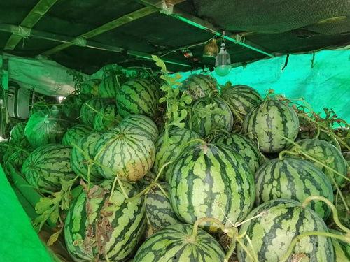 信阳学院今天吃瓜,吃瓜群众聚焦校园新鲜事