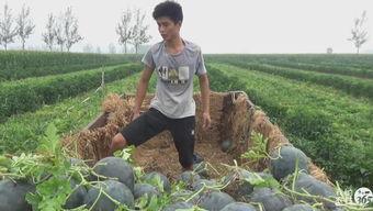 雨琪吃瓜,揭秘娱乐圈幕后故事