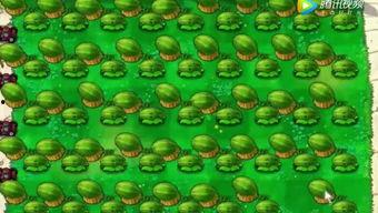 雨琪吃瓜,揭秘娱乐圈幕后故事