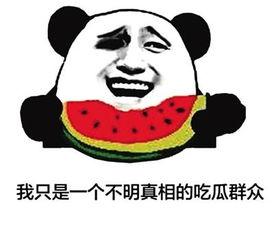 吃瓜群众的洪荒之力,揭秘娱乐圈风云变幻