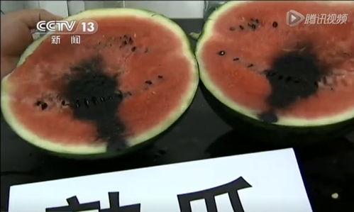 太和恶心吃瓜视频,揭秘网络恶搞背后的真相