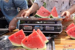 太和恶心吃瓜视频,揭秘网络恶搞背后的真相