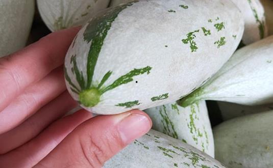 吃瓜到底为啥,揭秘吃瓜群众背后的心理动机与社交现象