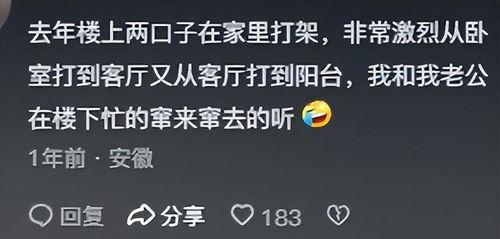 网络分享吃瓜故事,揭秘网络舆论背后的真相与笑料